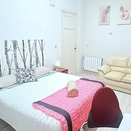 Privadas En Piso Frente A Playa Ondarreta, Bano Compartido Privatunterkunft